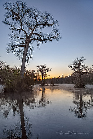 Crack of Dawn