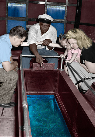 Glass Bottom Boat
