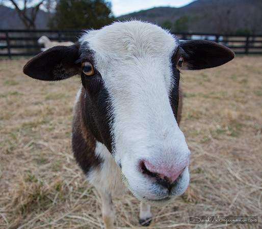 Farm-5637
