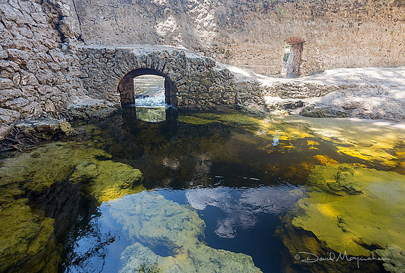 Suwannee Springs Arch