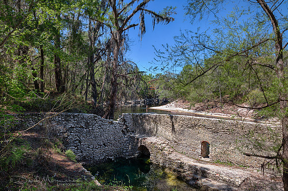 Suwannee Springs