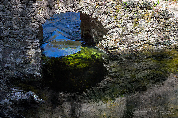 Window Into Suwannee