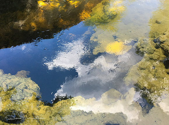 Suwannee Springs Clouds & Rocks