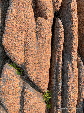 Maine Rocks - ANP 13