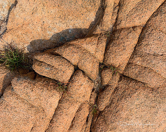 Maine Rocks - ANP 16