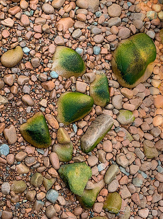 Maine Rocks - ANP 17
