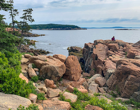 Maine Rocks - ANP 18