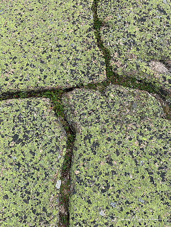 Cadillac Mountain Rocks 1