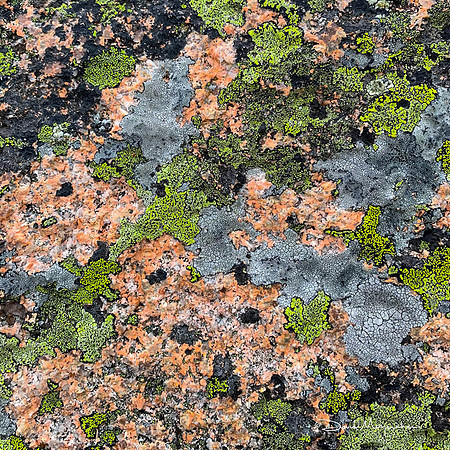 Cadillac Mountain Rocks 2