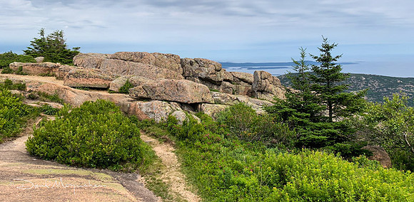 Cadillac Mountain Vista