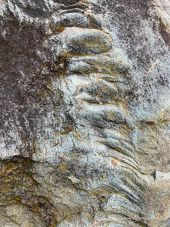 Maine Rocks- Moose Pt- 4