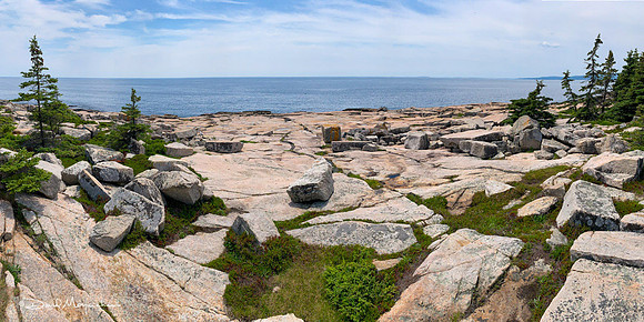 Schoodic Point