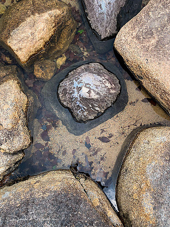 Jordan Pond Rocks 1
