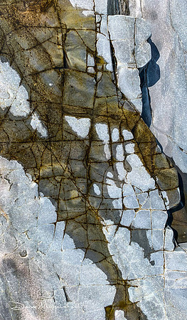 Maine Rocks - ANP Detail 4