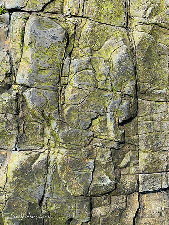 Maine Rocks - ANP Detail 5