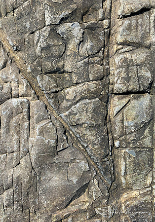 Maine Rocks - ANP Detail 7
