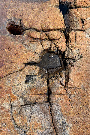 Schoodic Pt Rocks 2