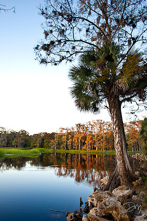 Fisheating Creek