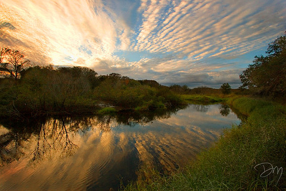 Fisheating Creek Sunrise