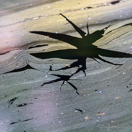 Pond Fracture