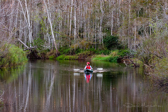 Sue on Upper FEC