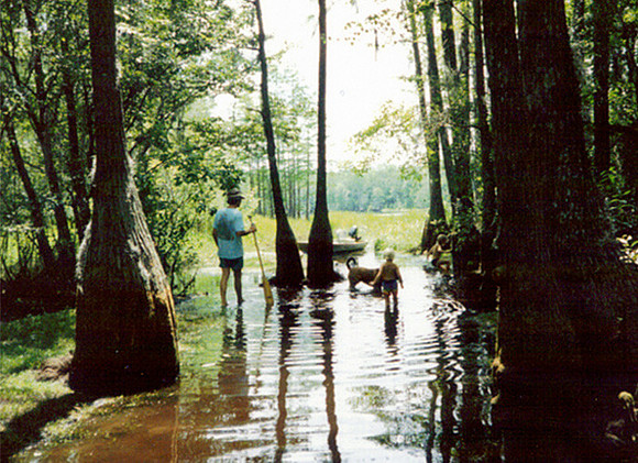 Exploring Bradford Creek