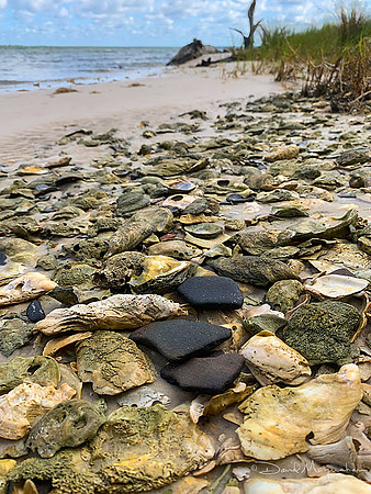 Eroding Midden