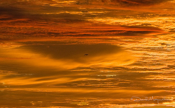 Flying the Amazing Sky