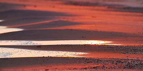 Last Rays on Beach