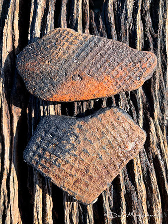 Pottery Chards 1