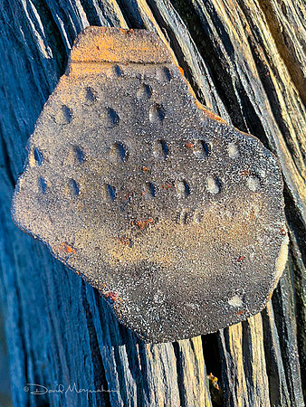 Pottery Chards 3