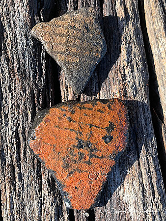 Pottery Chards 6