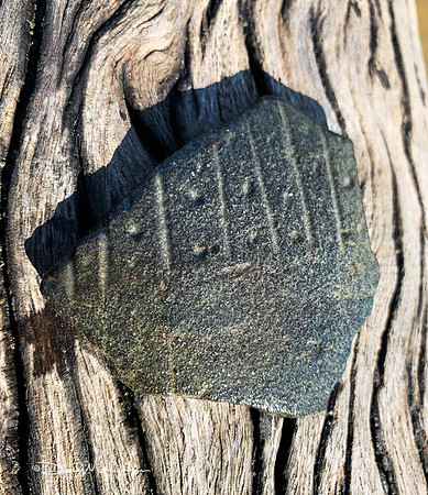 Pottery Chards 10