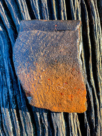Pottery Chards 2