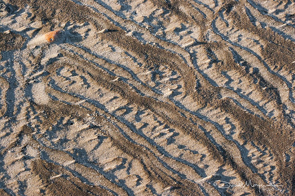 Sand Bands