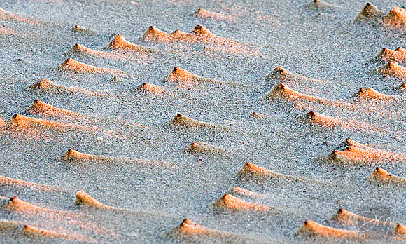 Sand in Sunrise