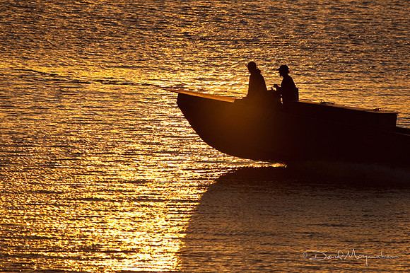 Sunrise Speedboat