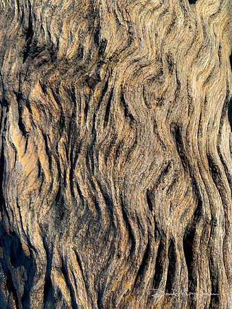 Waves of Wood