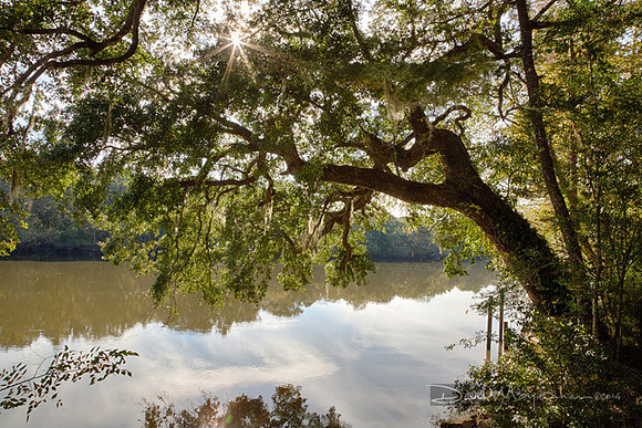 Choctawhatchee River Vista 3