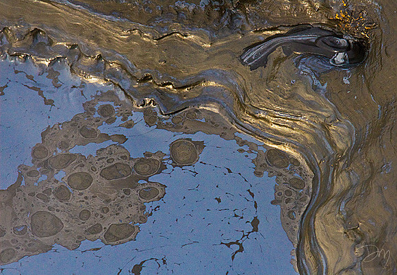 MudPot_2923-lg