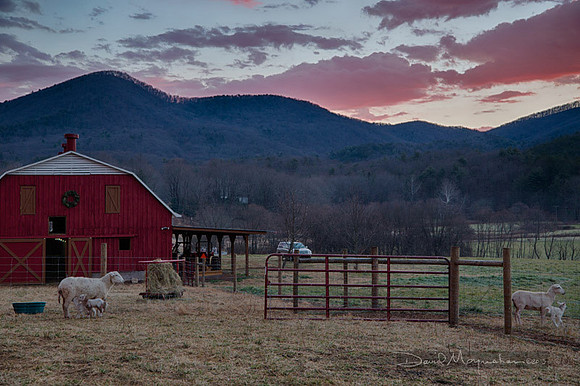 Farm--5
