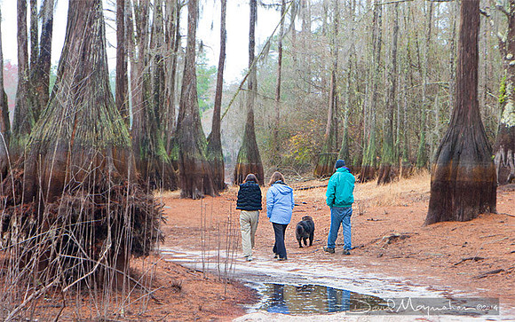 Hiking the Paddling Trail
