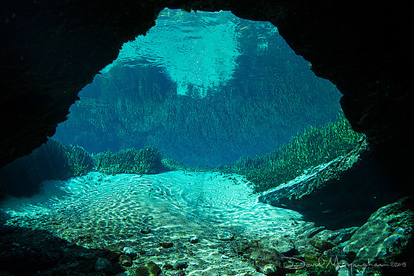 Jackson Blue Cavern Vista