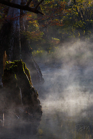 Mist-ery