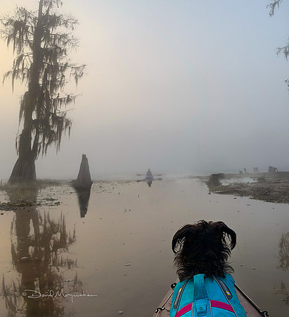Foggy Launch
