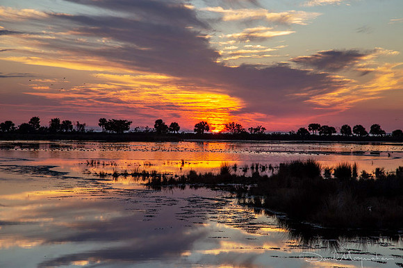 St Marks Sunset