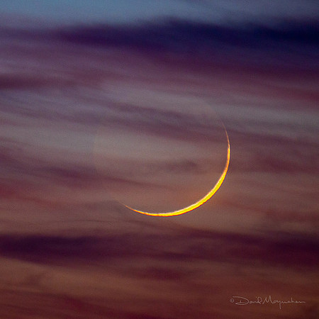 Dusky Moon