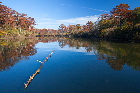 Mill Lake