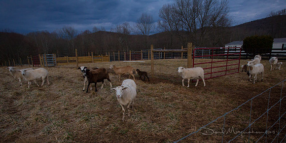Farm-5362