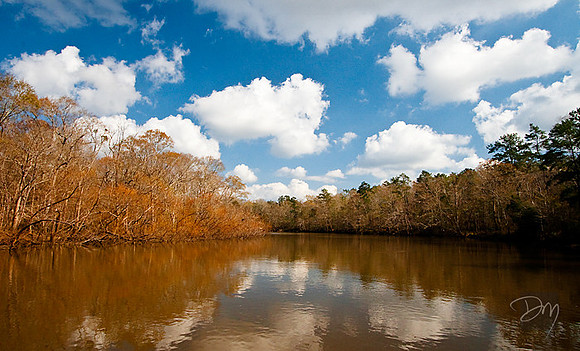 Choctawhatchee River Vista 2